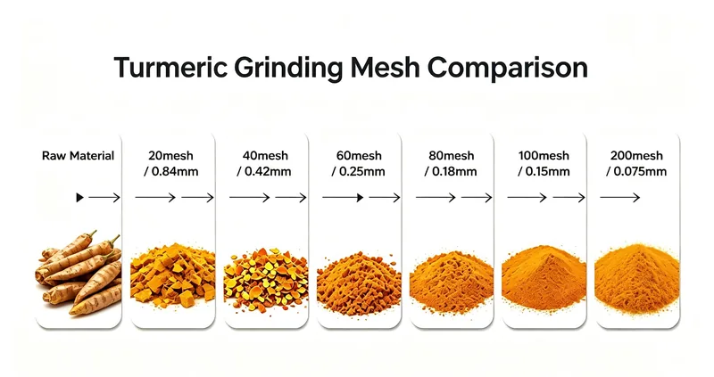 Turmeric powder 20 to 200 mesh comparison